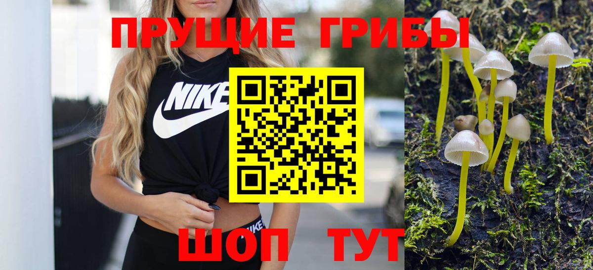 Галлюциногенные грибы Magic Shrooms  Вход с VPN  Псилоцибиновые грибы Magic Shrooms  Новосибирск 