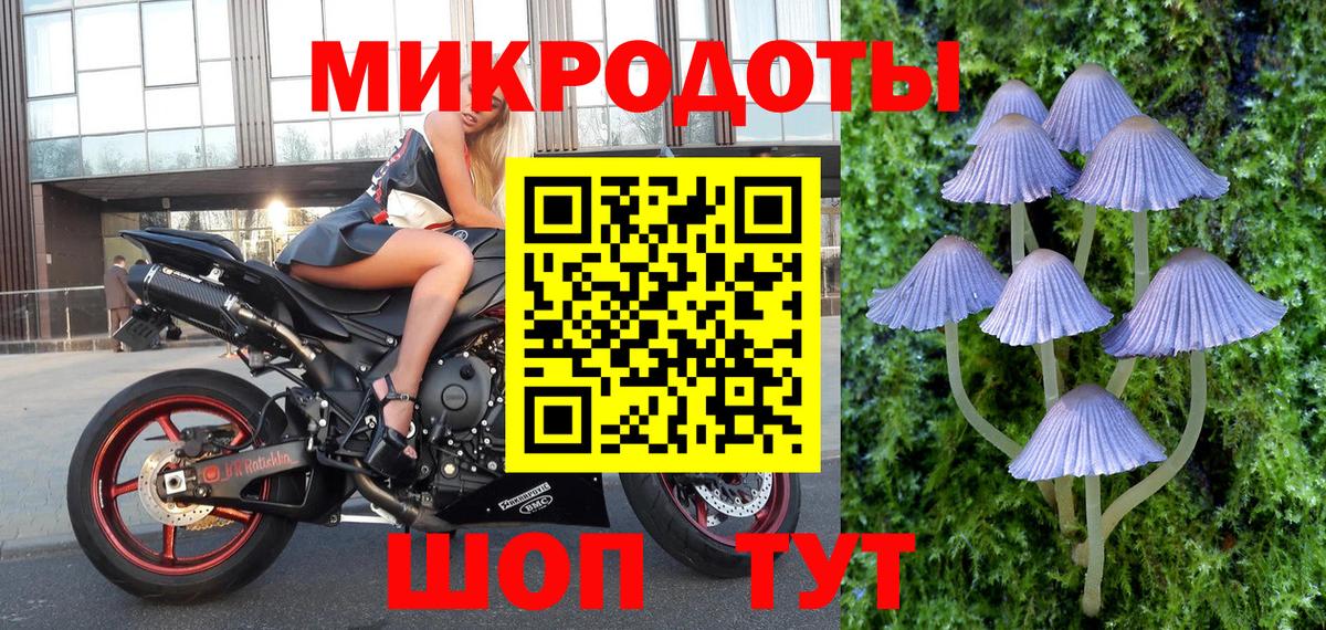Галлюциногенные грибы ЛСД Новосибирск