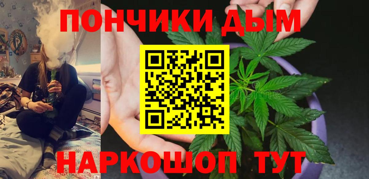 Бошки марихуана марихуана Новосибирск